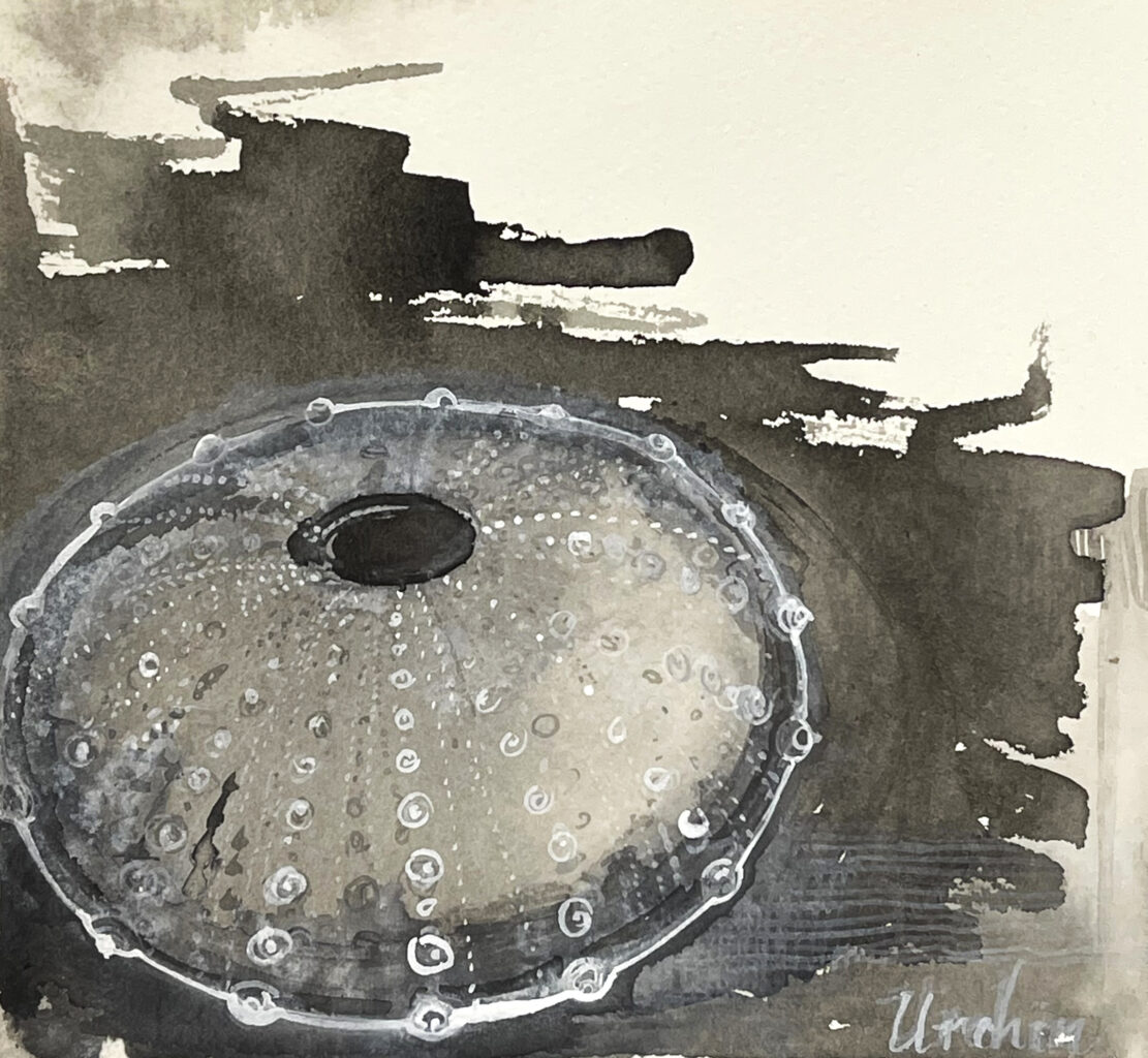 Urchin, Snake Island