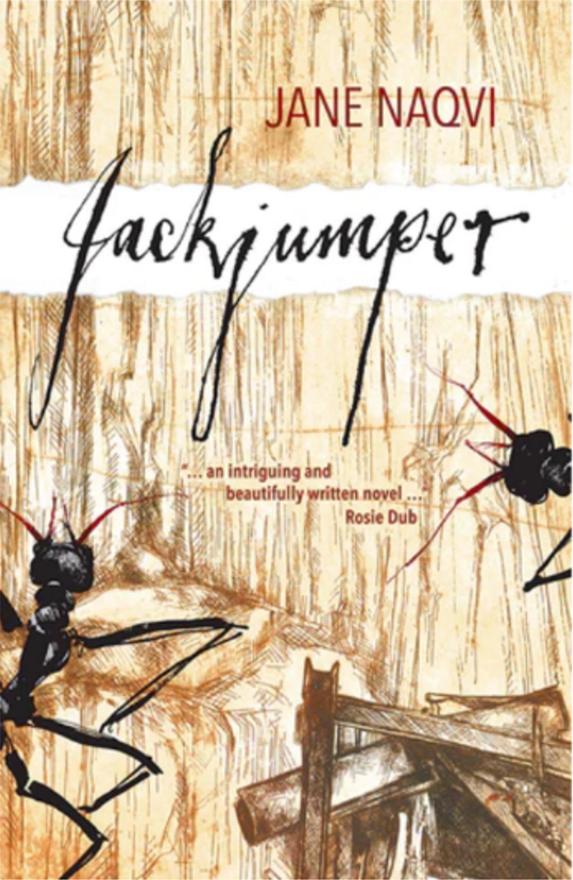 Cover Illustration : novel “Jackjumper” by Jane Naqvi